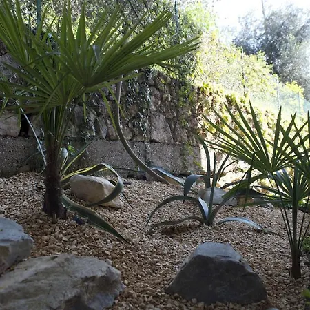 Edera מלון 2*